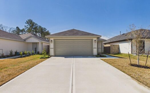 The Canopies, Splendora