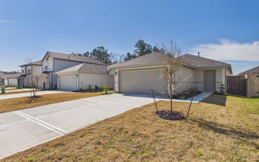 The Canopies, Splendora