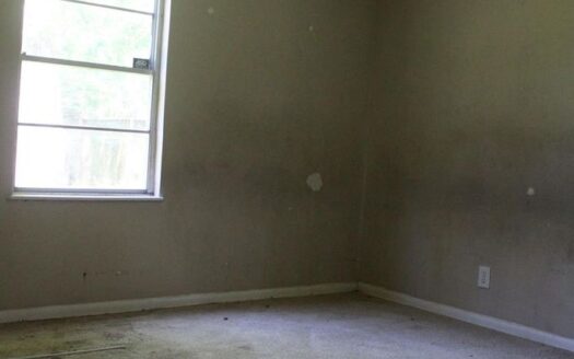 Chocolate Bayou Estates Sec 01, Houston