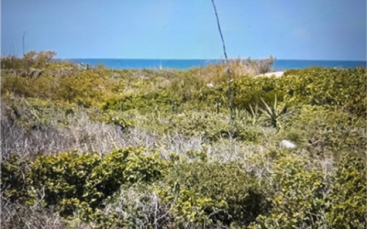 Terreno en Sisal, Yucatán
