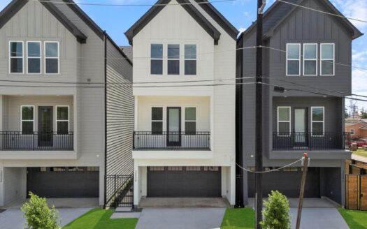 Skyline Homes At Lou Ellen Lane, Houston 3516