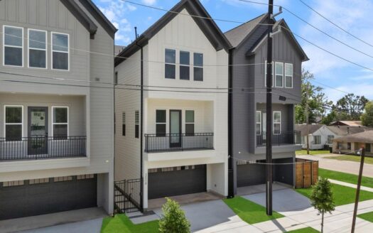 Skyline Homes At Lou Ellen Lane, Houston